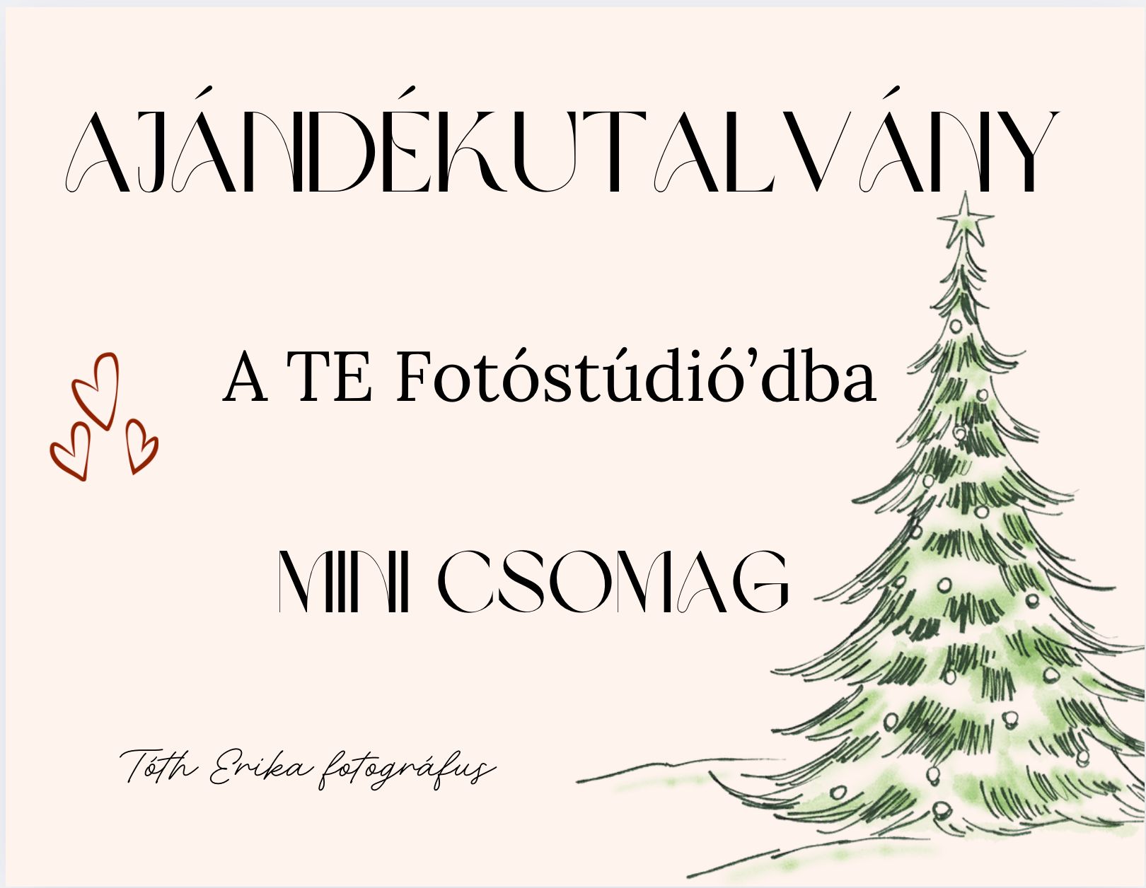 A TE Fotóstúdió'd Mini Csomag Ajándékutalvány