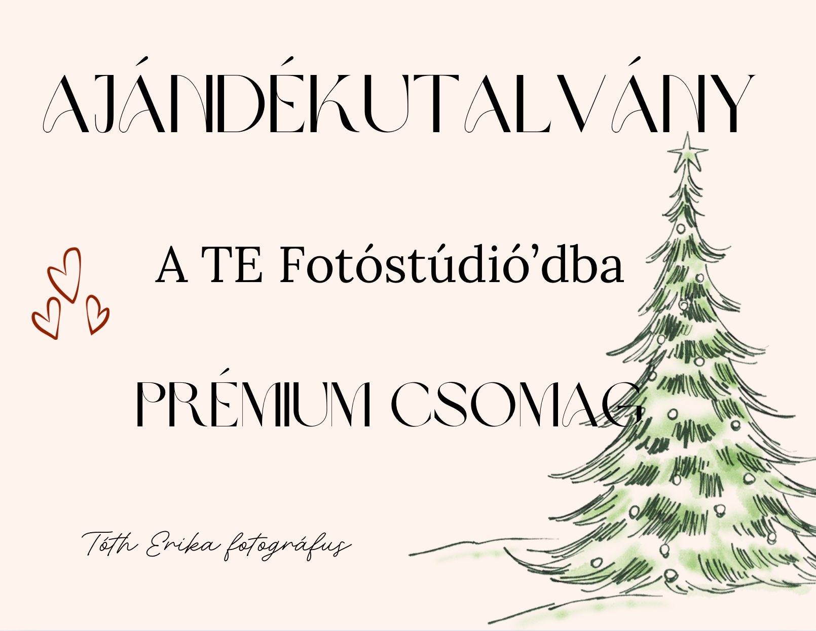 A TE Fotóstúdió'd Prémium Csomag Ajándékutalvány